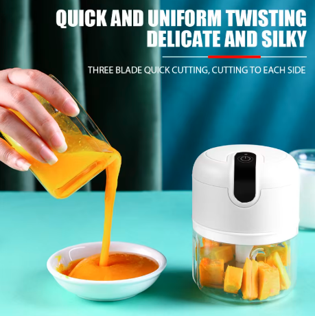 Mini Electric Food Grinder
