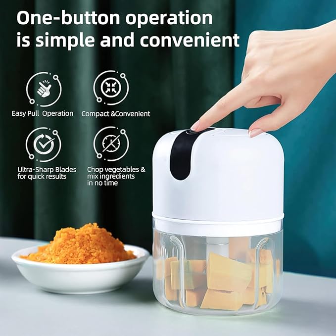 Mini Electric Food Grinder